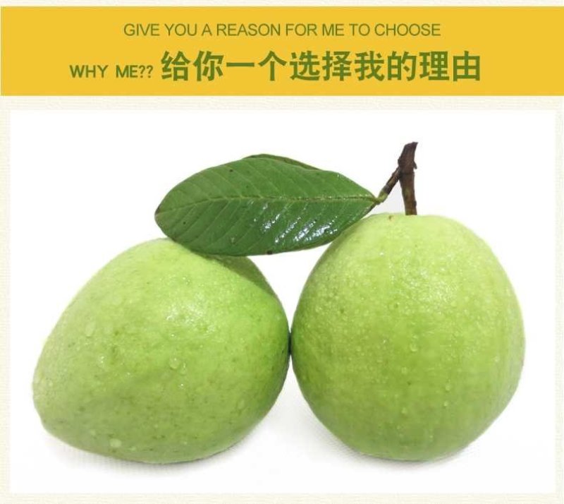 海南番石榴，番石榴，芭乐