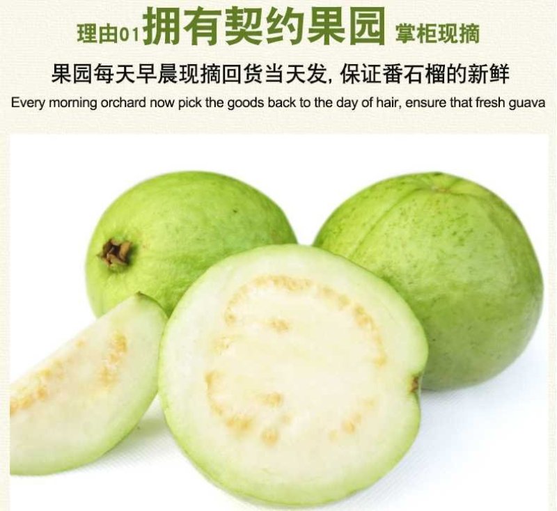 海南番石榴，番石榴，芭乐