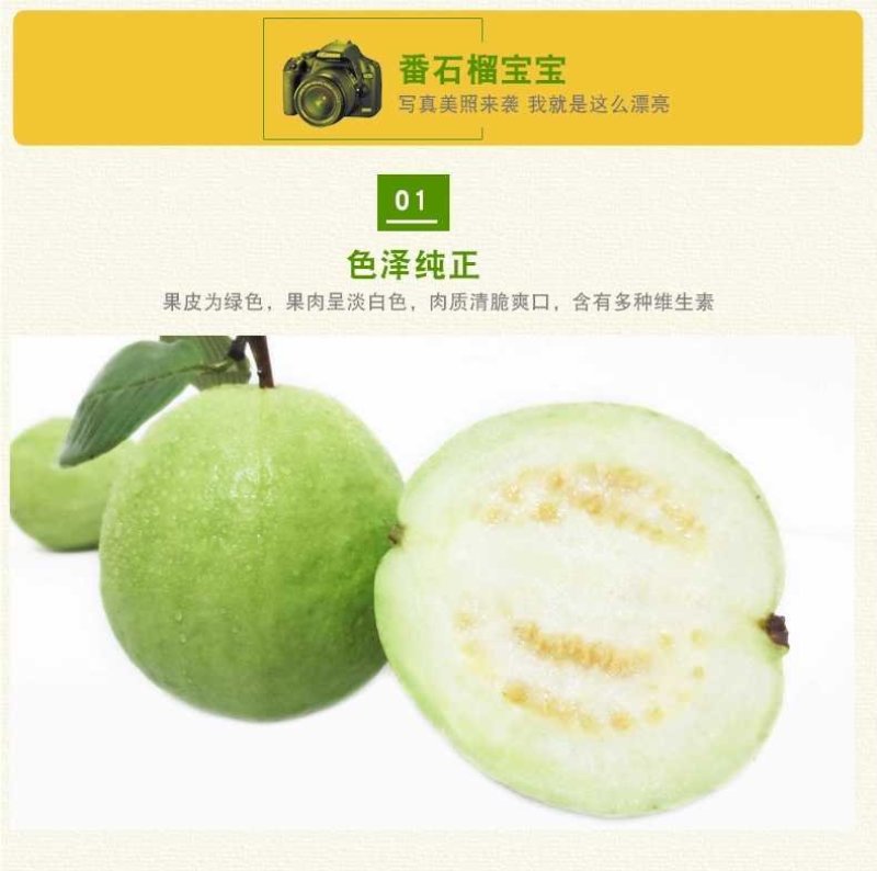 海南番石榴，番石榴，芭乐