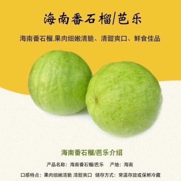 海南番石榴，番石榴，芭乐
