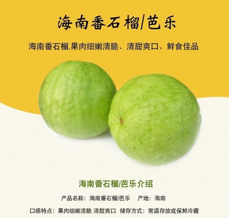 海南番石榴，番石榴，芭乐