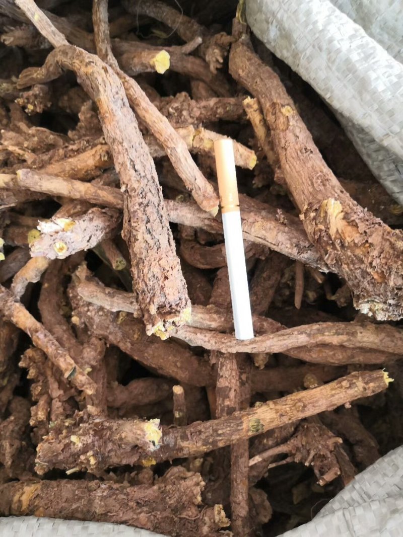 优质黄芩大条手选货、切片货