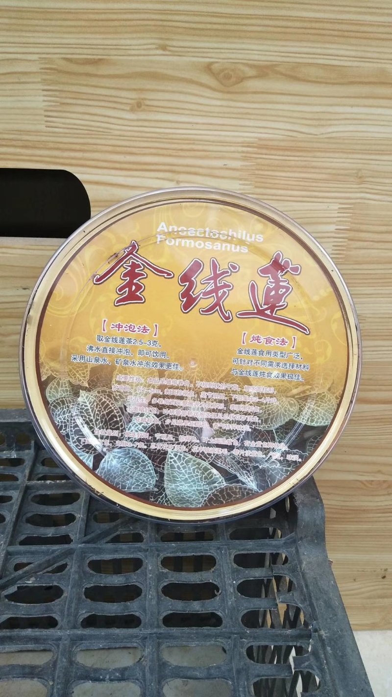 广西来宾金秀大瑶山野生金线莲