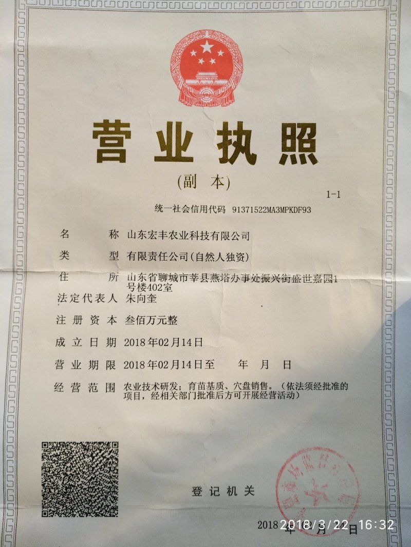 山东聊城市宏丰源育苗基质，质量有保证，为人民服务！
