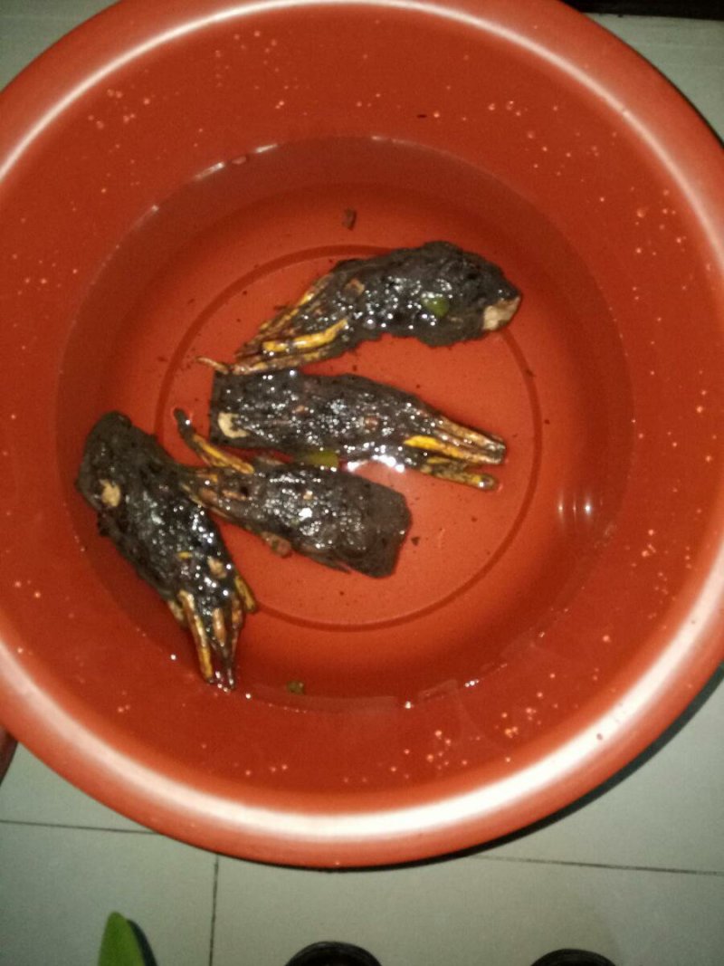 睡莲