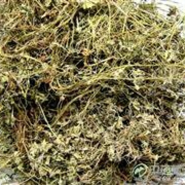 秦岭陕西野生老鹳草，无硫熏
