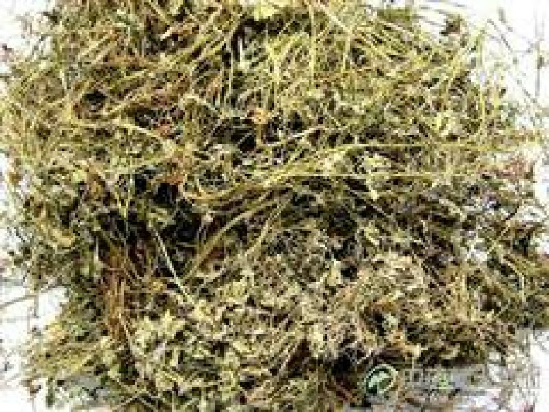 秦岭陕西野生老鹳草，无硫熏