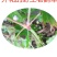 秦岭陕西野生老鹳草，无硫熏