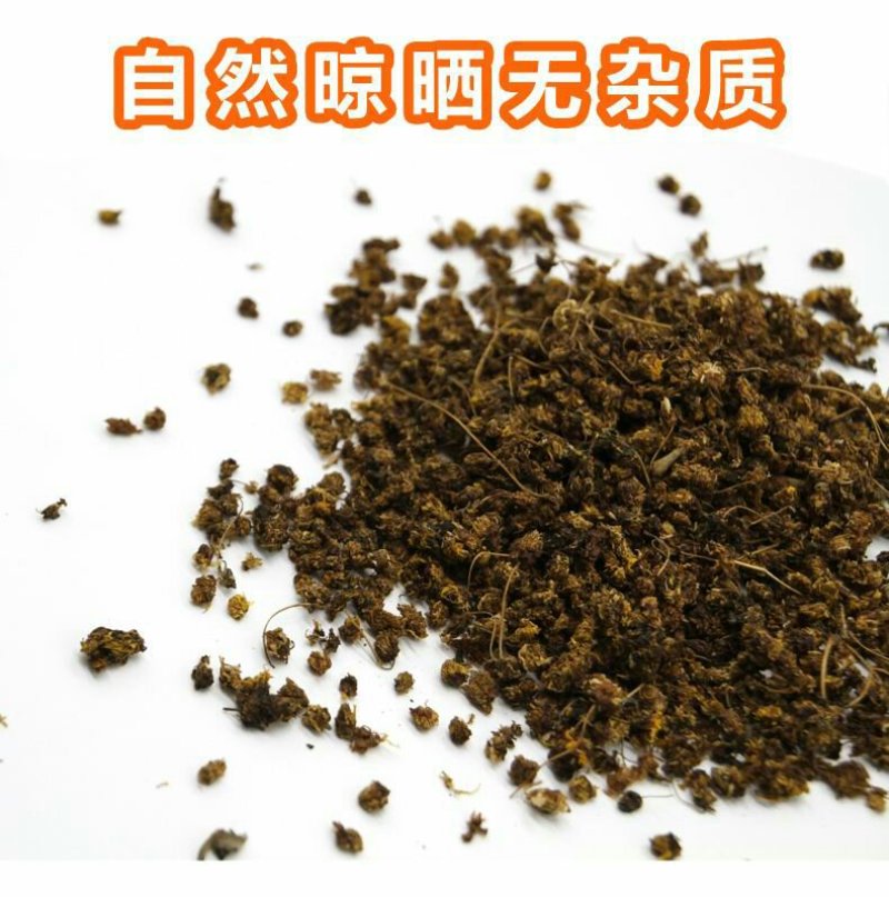 秦岭陕西汉中野菊花，野生，无硫熏
