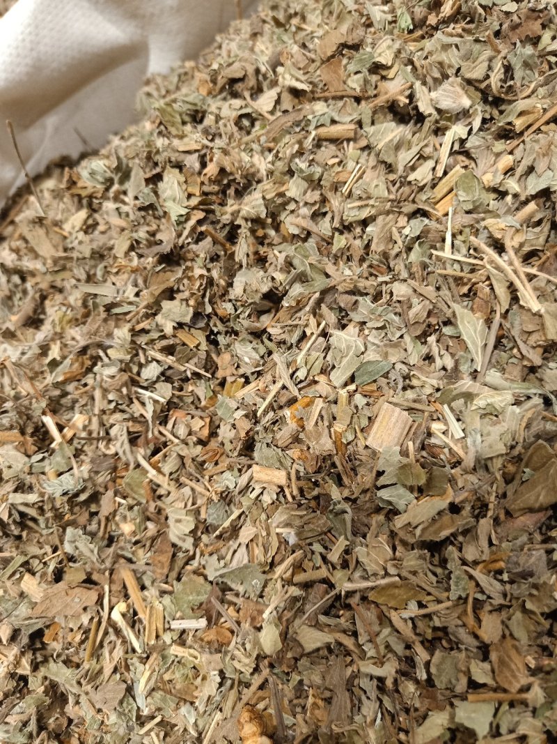 仙鹤草