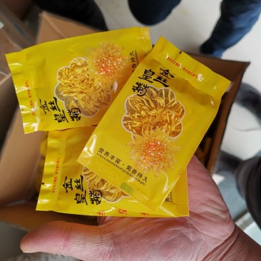 金丝皇菊一朵一杯