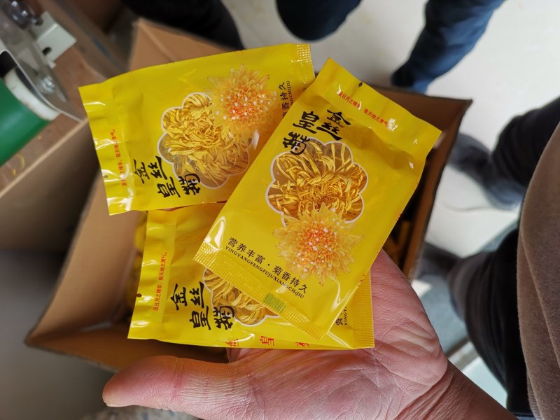 金丝皇菊一朵一杯