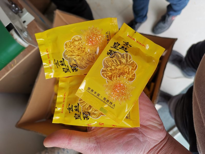 金丝皇菊一朵一杯