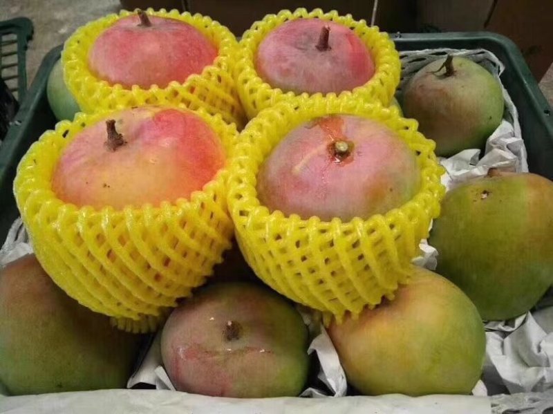 澳芒，。。。。？，。？，，？。，？。，，。