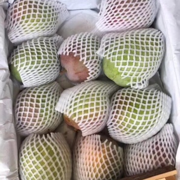 澳芒，。。。。？，。？，，？。，？。，，。