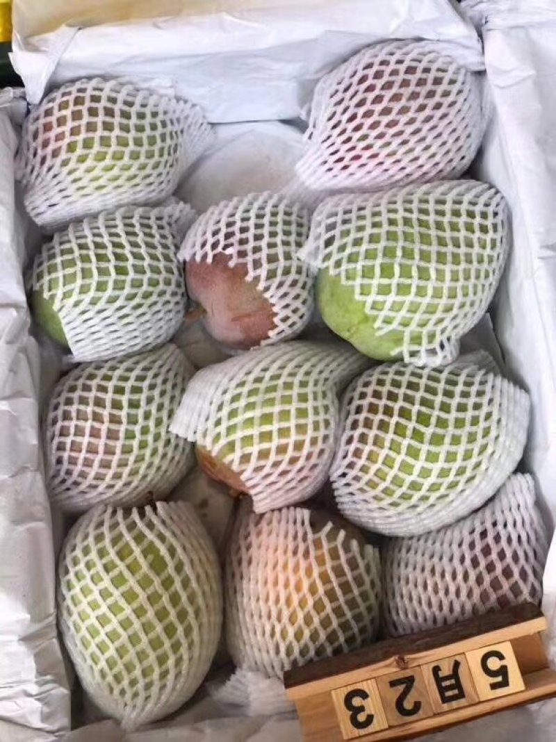 澳芒，。。。。？，。？，，？。，？。，，。