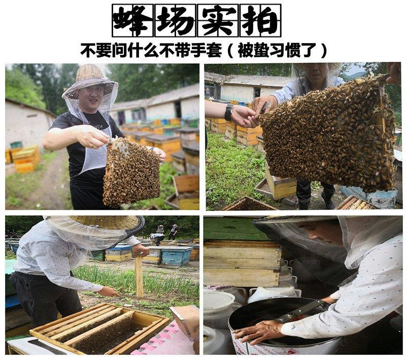 长白山椴树蜂蜜结晶蜜蜂场直发保农家蜂蜜