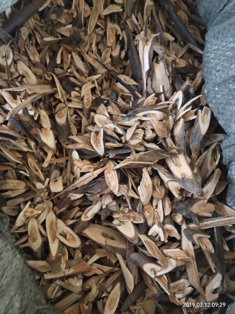 广西大量钩藤阳枝，根，切，片，统货价