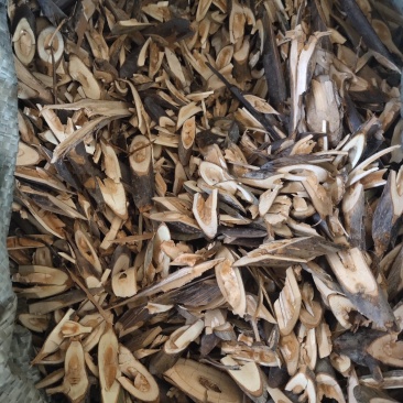 广西大量钩藤阳枝，根，切，片，统货价