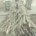 青风藤，产地一手货源接各种规格订单