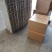 云南昆明鹌鹑蛋基地直发鲜货现发品质保证