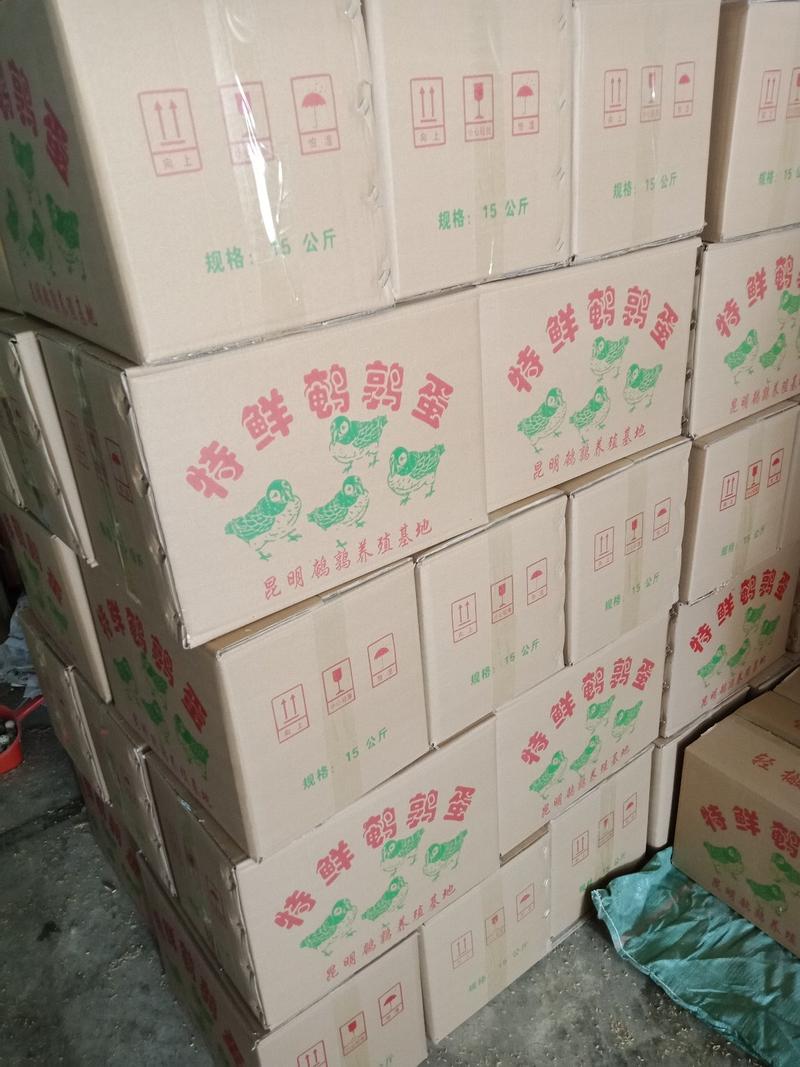 云南昆明鹌鹑蛋基地直发鲜货现发品质保证