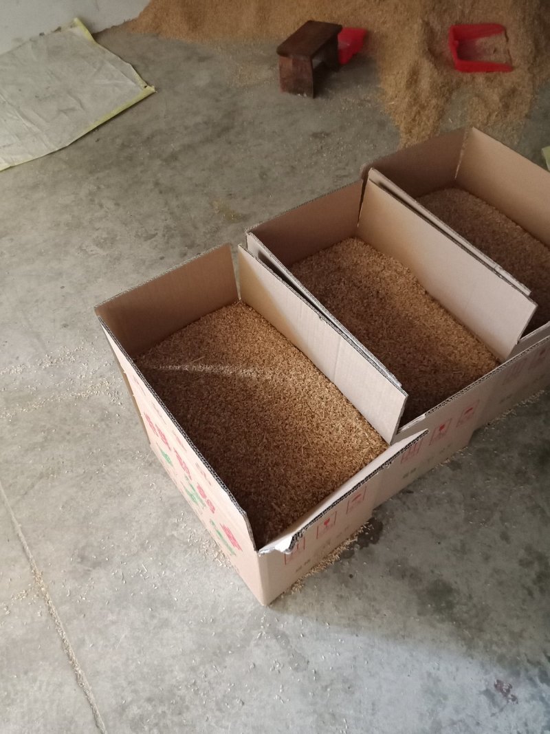 云南昆明鹌鹑蛋基地直发鲜货现发品质保证