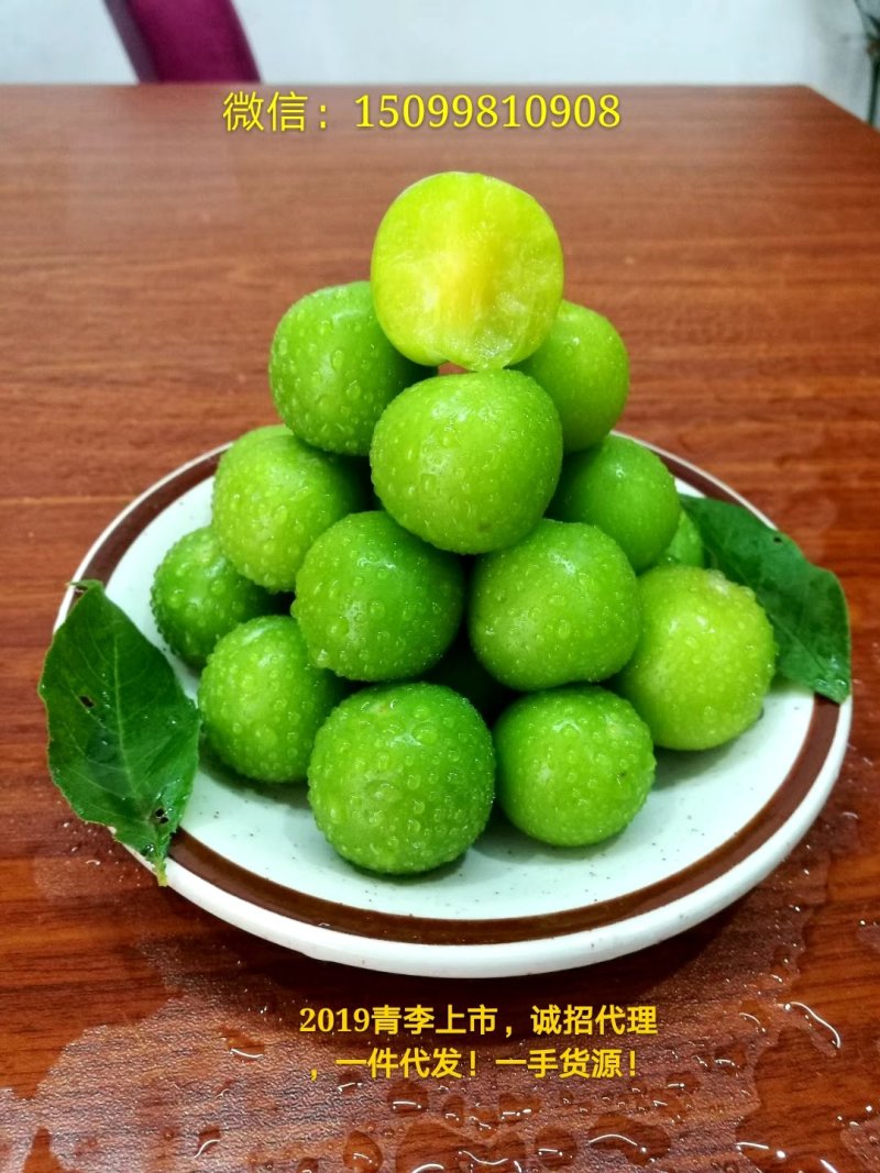 2024年三月李新鲜上市信宜钱排特产三华李