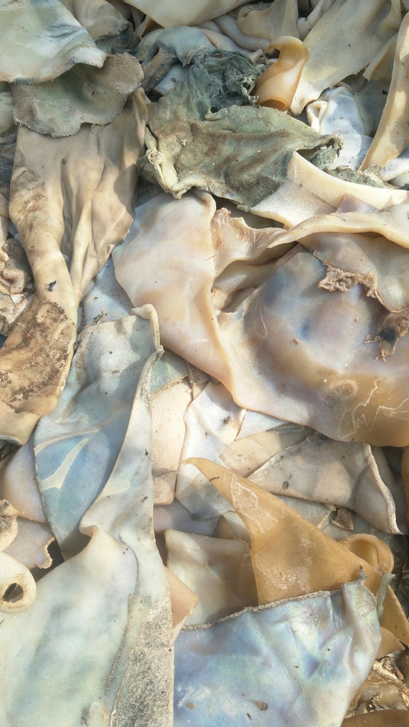 大量出售牛皮下角料