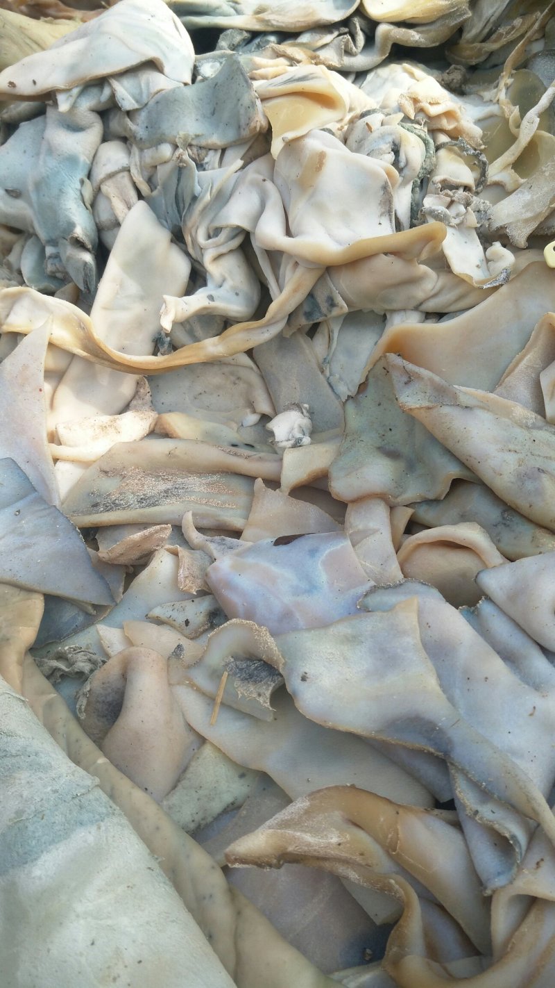 大量出售牛皮下角料