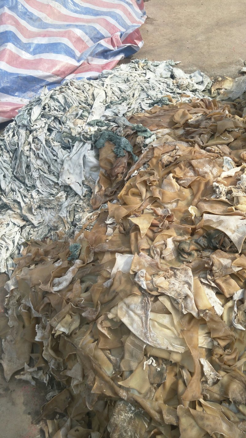大量出售牛皮下角料