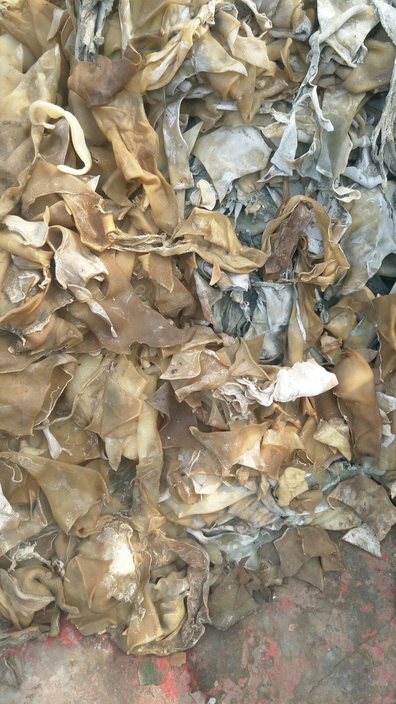 大量出售牛皮下角料