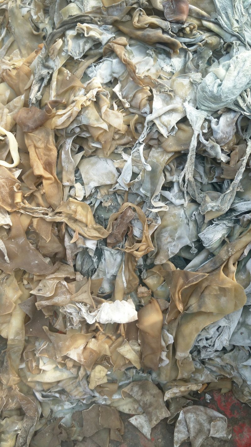 大量出售牛皮下角料