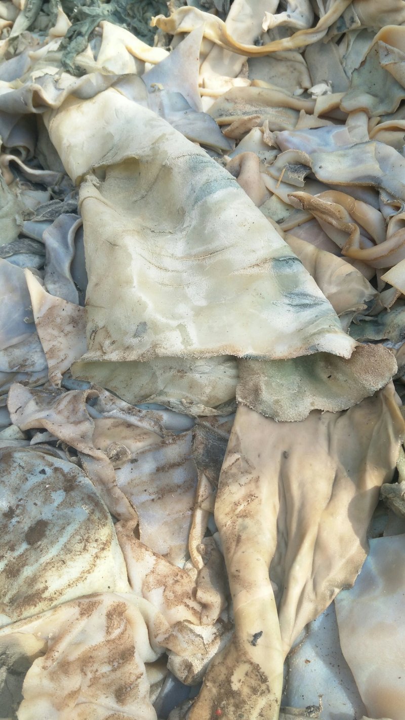 大量出售牛皮下角料