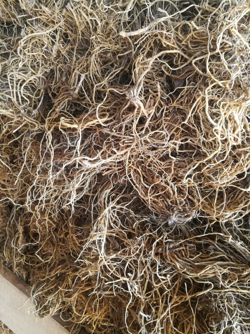 （北龙胆，）龙胆草干货