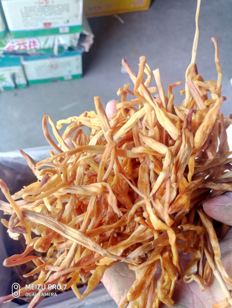 黄条黄花菜