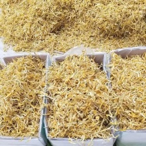无气味电商黄花菜
