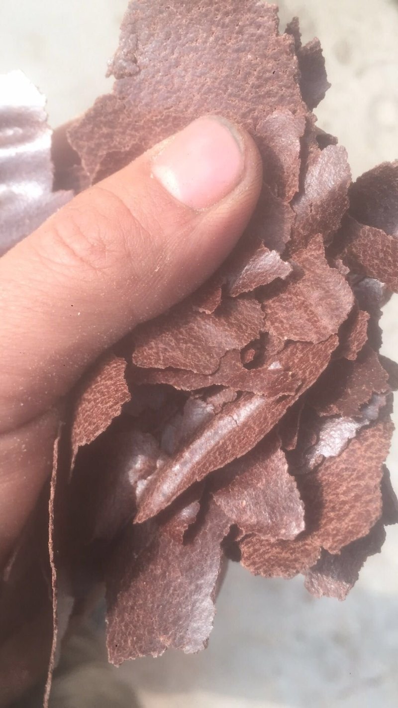 花生红衣饼