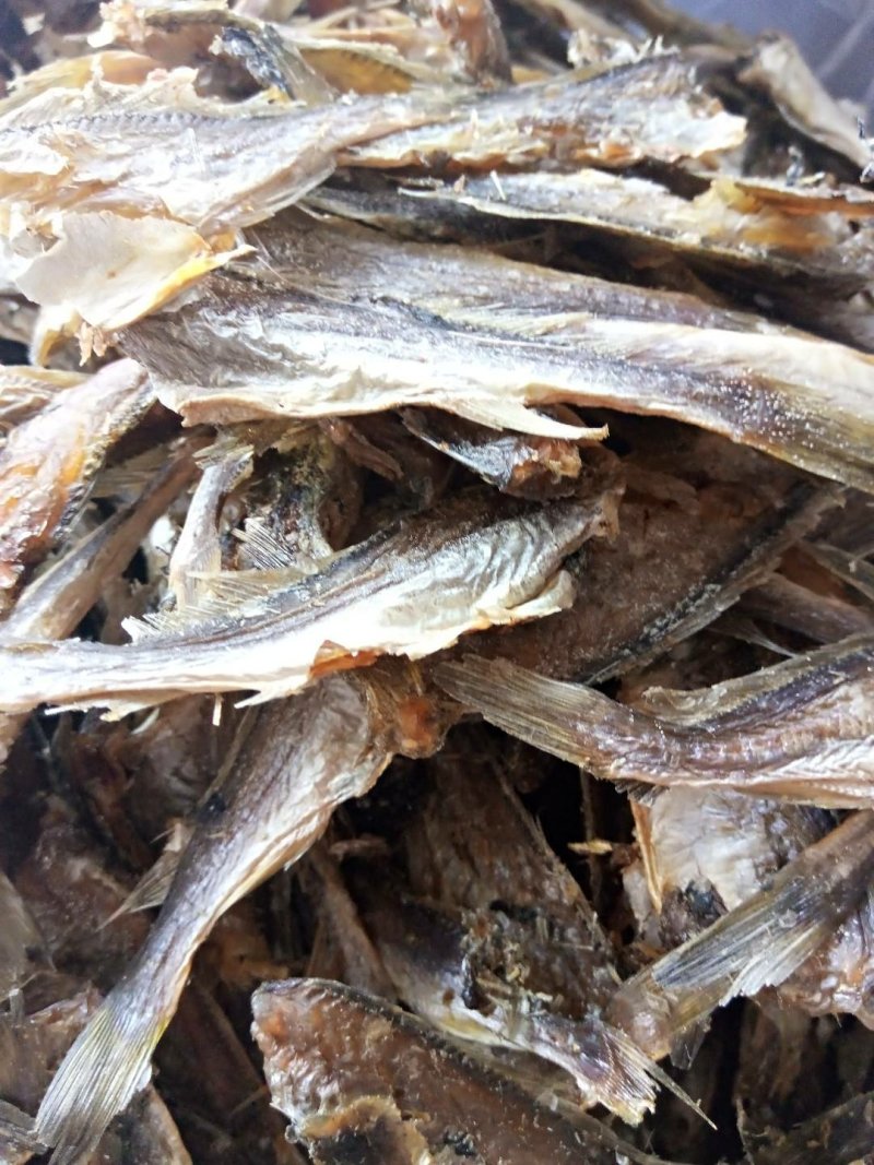 各种鱼干