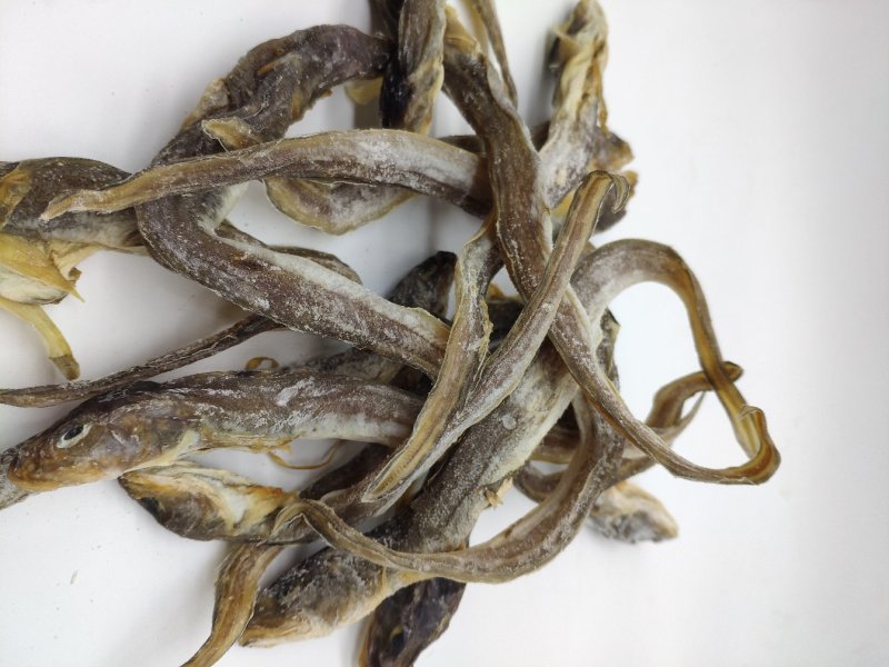 各种鱼干