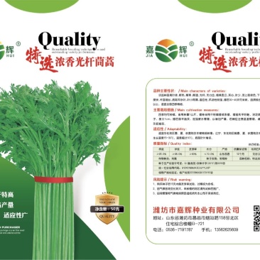 特选浓香光杆茼蒿种子