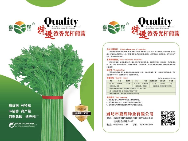 特选浓香光杆茼蒿种子