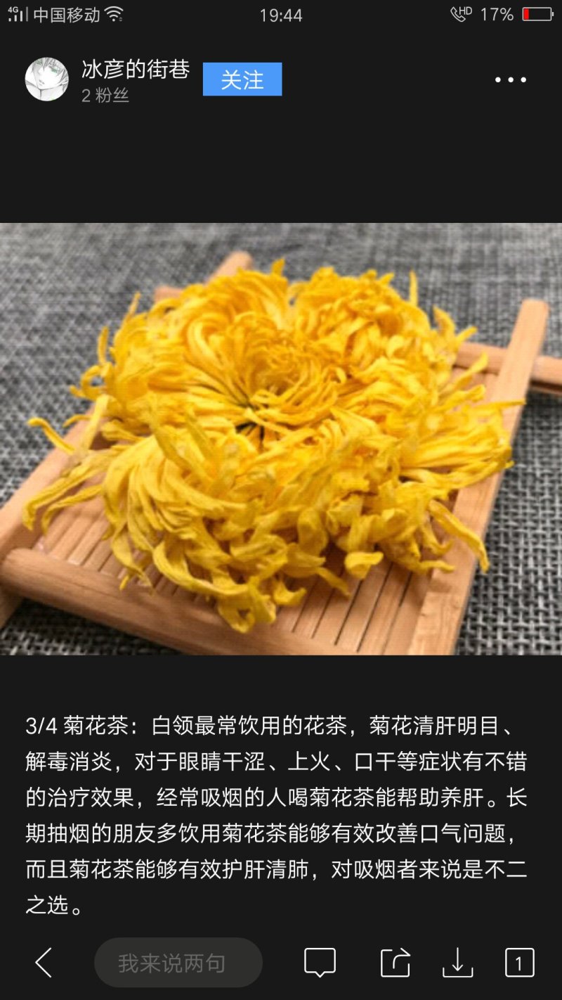 供菊花苗，金丝皇菊，怀菊，冰菊，北京菊，杭白菊