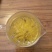 供菊花苗，金丝皇菊，怀菊，冰菊，北京菊，杭白菊