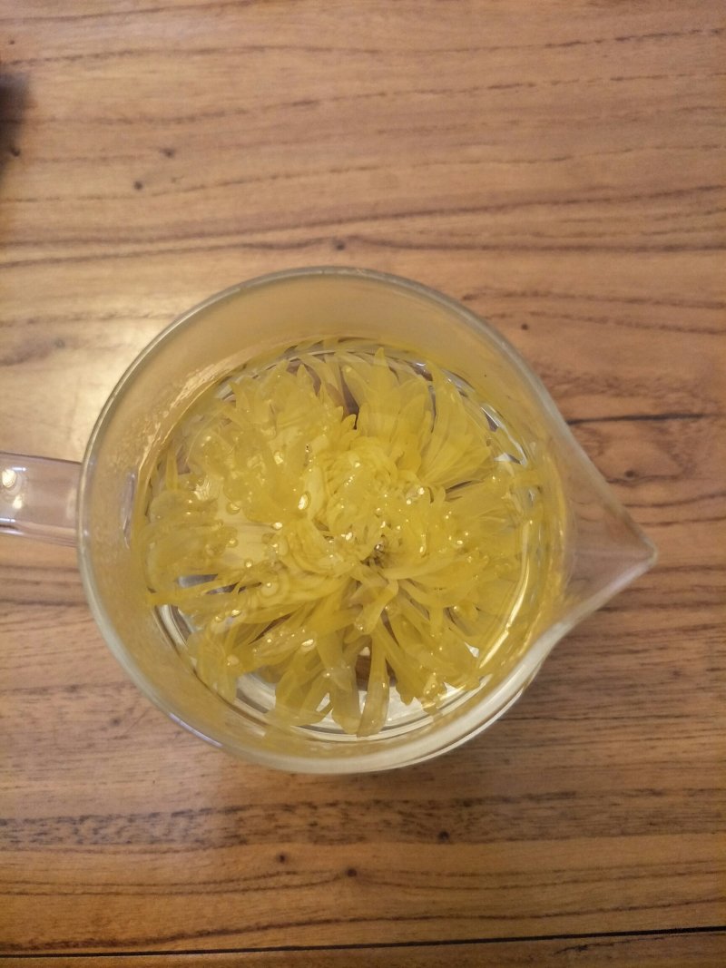 供菊花苗，金丝皇菊，怀菊，冰菊，北京菊，杭白菊