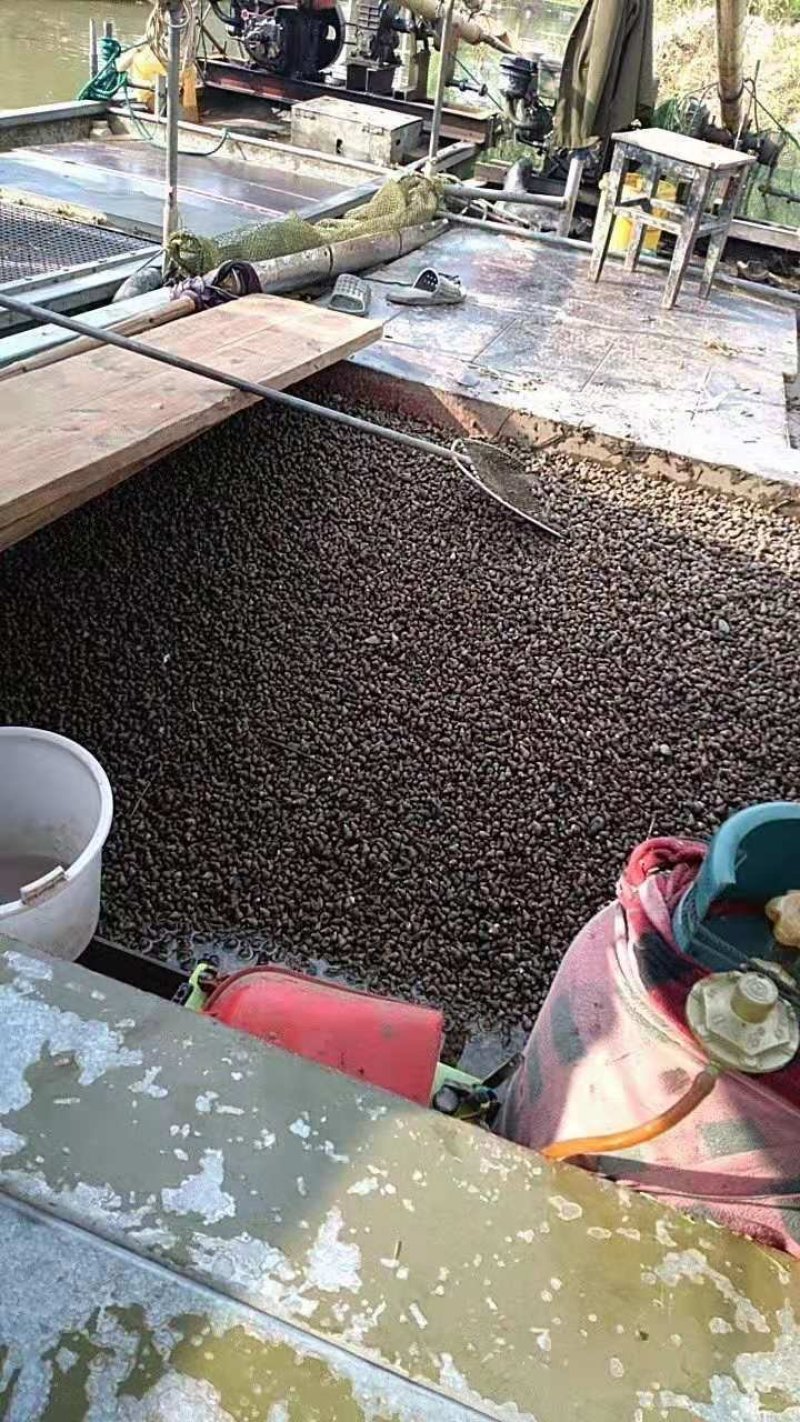 供应兴化螺丝