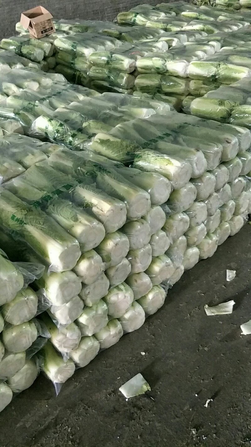北京新三号，4---6斤，精品，河北唐山市滦南县大量供应