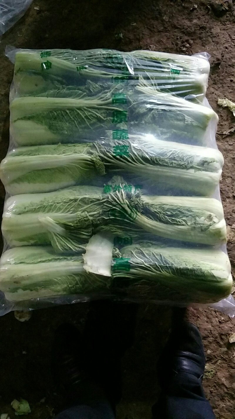 北京新三号，4---6斤，精品，河北唐山市滦南县大量供应