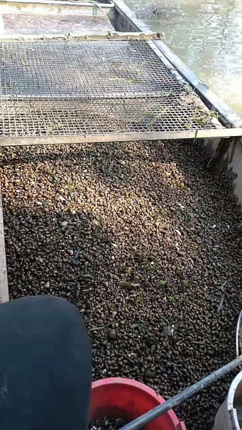 大量供应螺丝