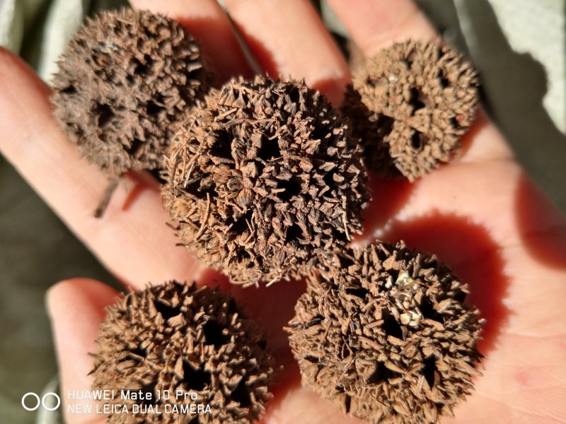 路路通湖北干货2斤起包邮量大从优